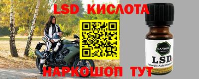 дмт Пенза