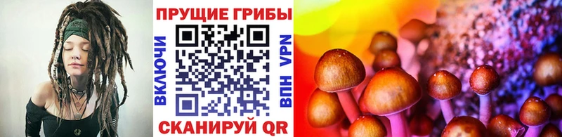 Псилоцибиновые грибы прущие грибы  OMG ссылки  Липецк 