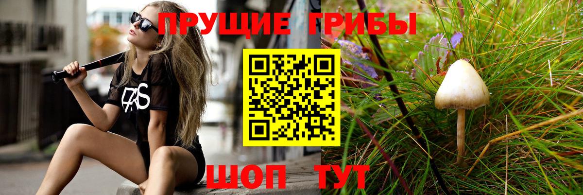 Липецк  Галлюциногенные грибы мицелий  Галлюциногенные грибы Psilocybe  закладка  Вход с VPN 
